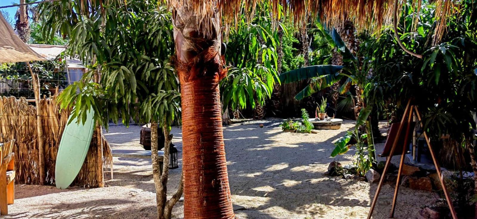 トドス・サントス La Sardinaホステル エクステリア 写真